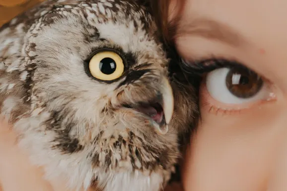 Casino B Bets Suporte